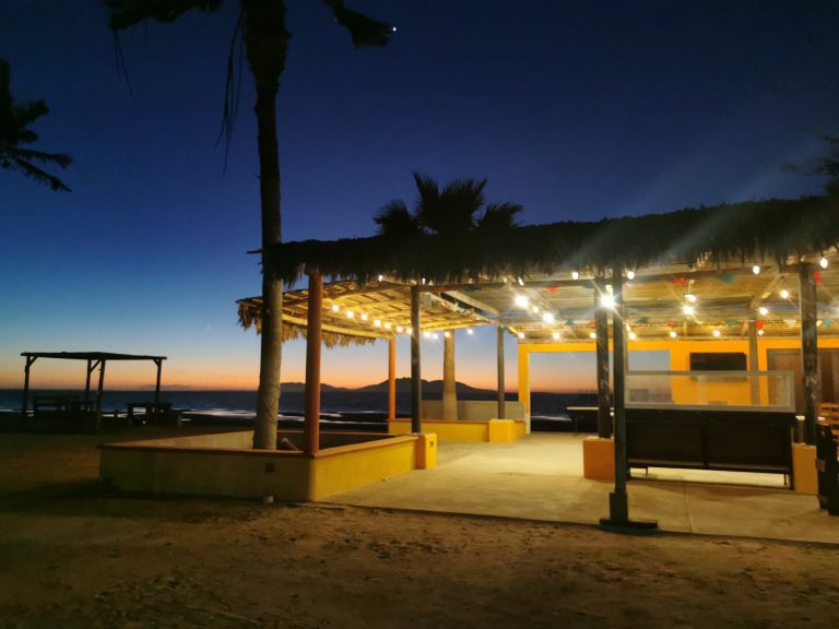 Villas Mar y Arena whale watching