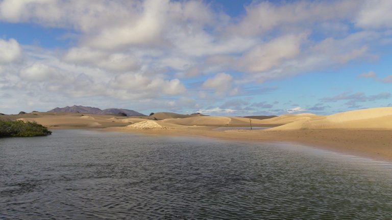 Aerial drone view of the mangroves in Bahía Magdalena during an eco-tour with Villas Mar y Arena