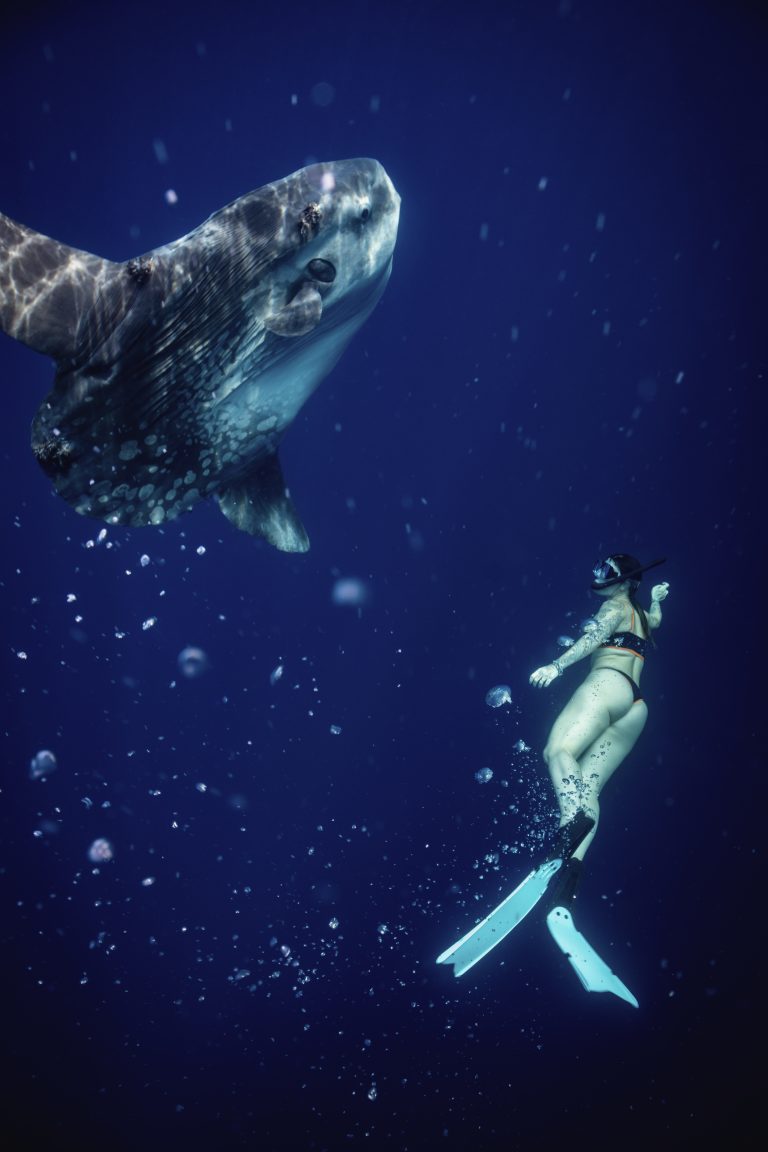 Scuba diver swimming alongside a large fish in the deep waters of Bahía Magdalena during an eco-tour with Villas Mar y Arena