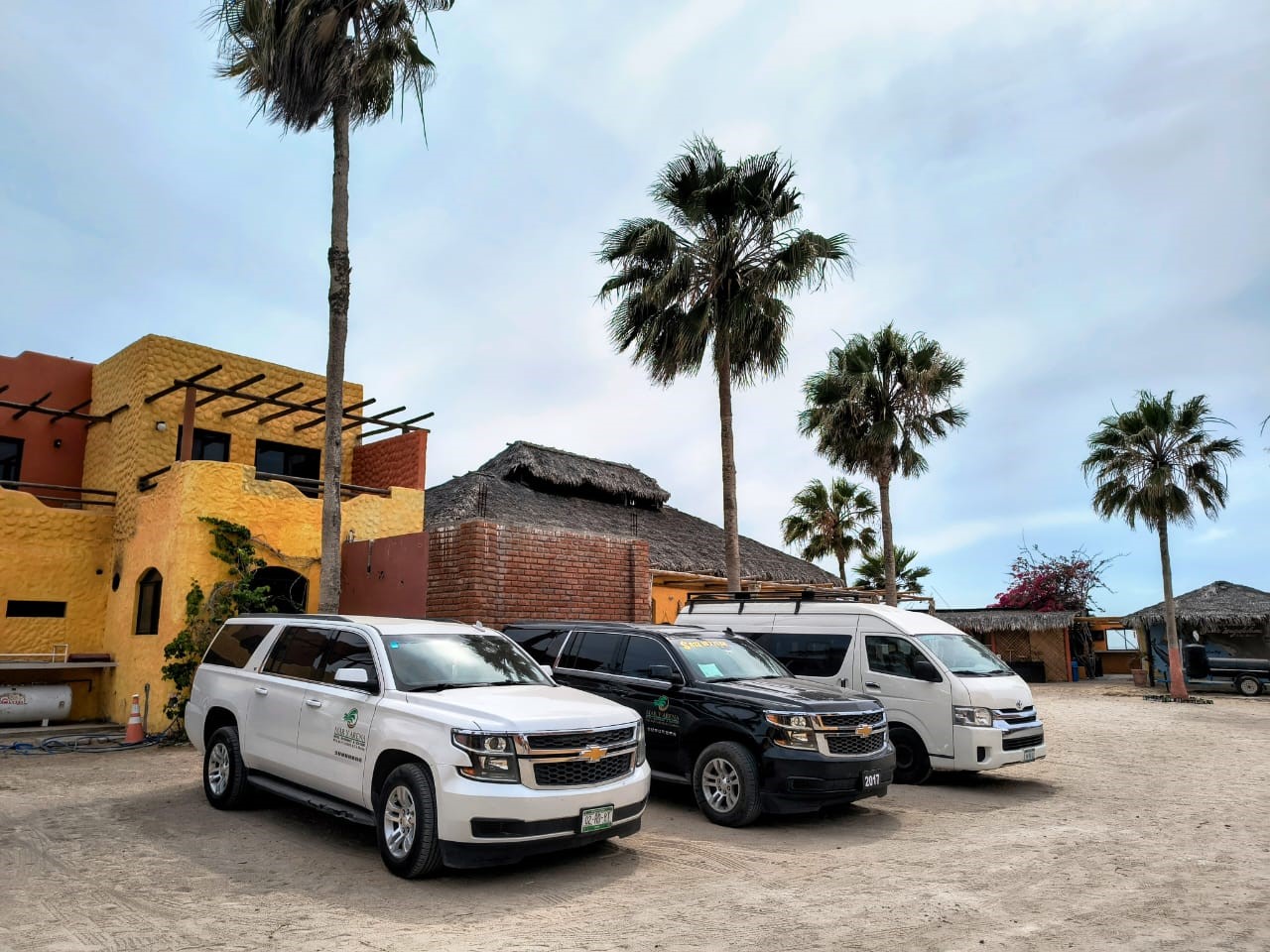 "A fleet of premium private transportation vehicles, including white Toyota HiAce vans, parked and ready for airport transfers in Baja California Sur."