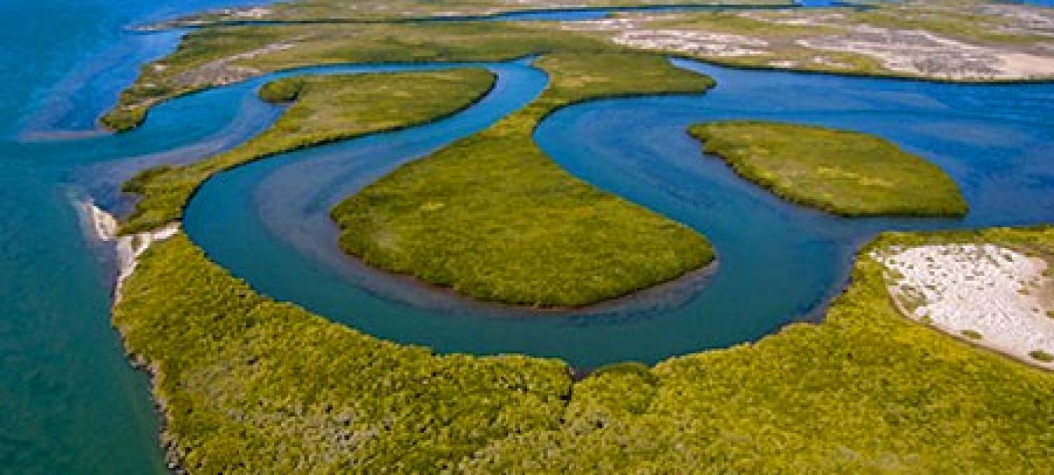 AMAZONAS